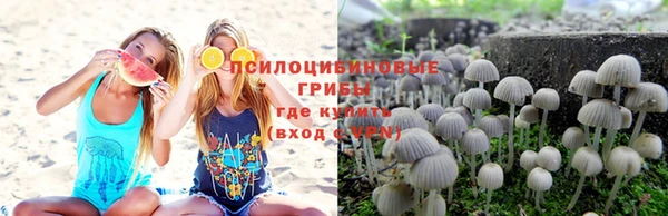 a pvp Абаза